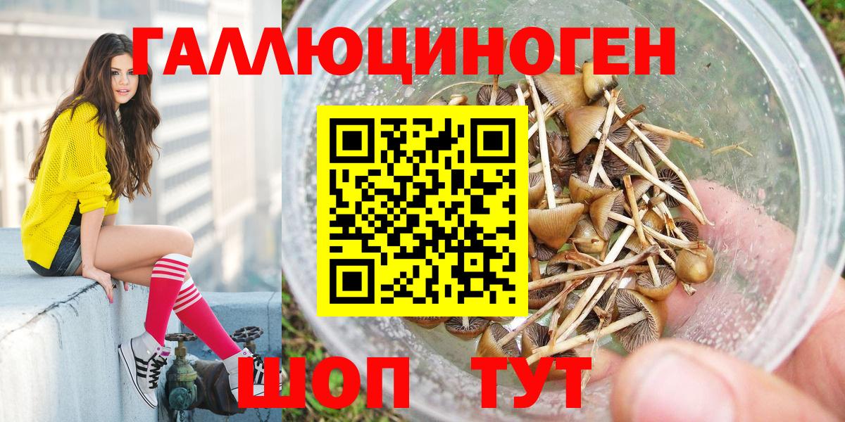 Галлюциногенные грибы прущие грибы Богородицк