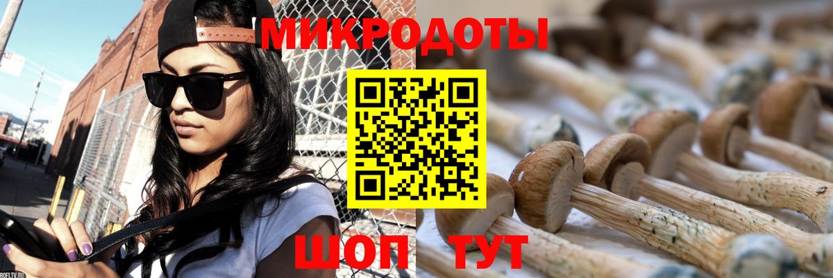 Богородицк  Галлюциногенные грибы прущие грибы  Вход с VPN  Псилоцибиновые грибы Psilocybe 